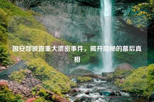国安部披露重大泄密事件，揭开隐秘的幕后真相