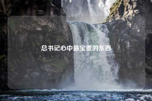 总书记心中最宝贵的东西
