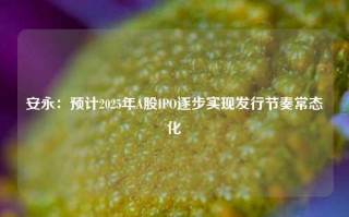 安永：预计2025年A股IPO逐步实现发行节奏常态化