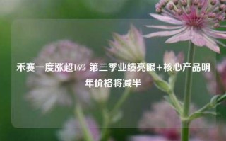 禾赛一度涨超16% 第三季业绩亮眼+核心产品明年价格将减半