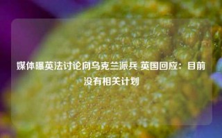 媒体曝英法讨论向乌克兰派兵 英国回应：目前没有相关计划