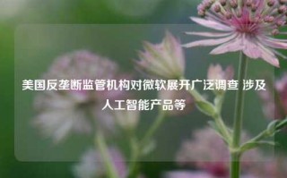 美国反垄断监管机构对微软展开广泛调查 涉及人工智能产品等