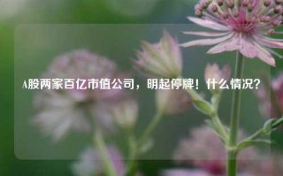 A股两家百亿市值公司，明起停牌！什么情况？