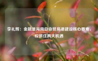 李礼辉：金融是海南自由贸易港建设核心要素，应抓住两大机遇