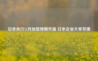 日本央行12月加息预期升温 日本企业大举发债