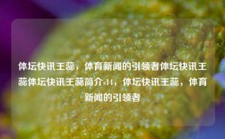 体坛快讯王蕊，体育新闻的引领者体坛快讯王蕊体坛快讯王蕊简介s14，体坛快讯王蕊，体育新闻的引领者，体坛快讯王蕊，体育新闻的领航者