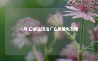 12月1日起全国推广应用数电发票