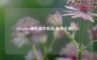 ClearOne通讯盘中异动 股价大涨5.71%