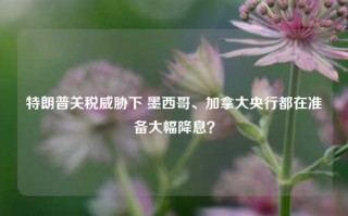 特朗普关税威胁下 墨西哥、加拿大央行都在准备大幅降息？