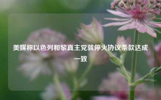 美媒称以色列和黎真主党就停火协议条款达成一致