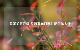 紧张关系升级 欧盟宣布召回驻尼日尔大使