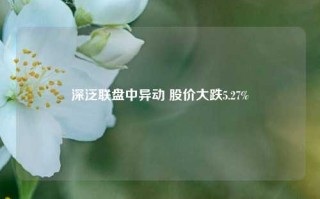 深泛联盘中异动 股价大跌5.27%