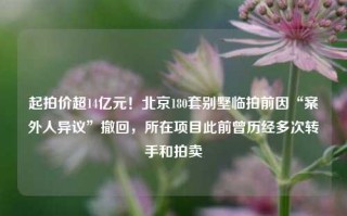 起拍价超14亿元！北京180套别墅临拍前因“案外人异议”撤回，所在项目此前曾历经多次转手和拍卖