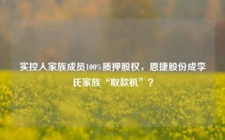 实控人家族成员100%质押股权，恩捷股份成李氏家族“取款机”？