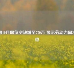 美国10月职位空缺增至770万 预示劳动力需求企稳