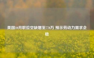 美国10月职位空缺增至770万 预示劳动力需求企稳