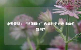 中泰策略：“特朗普2.0”内阁任免对市场有何影响？