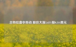 古特拉盘中异动 股价大涨5.65%报0.344美元