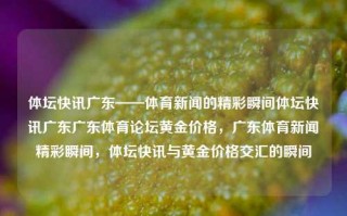 体坛快讯广东——体育新闻的精彩瞬间体坛快讯广东广东体育论坛黄金价格，广东体育新闻精彩瞬间，体坛快讯与黄金价格交汇的瞬间，广东体坛快讯，体育新闻与黄金价格交汇的精彩瞬间