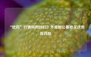 “吃药”行情何时回归？外资和公募抢买这些医药股