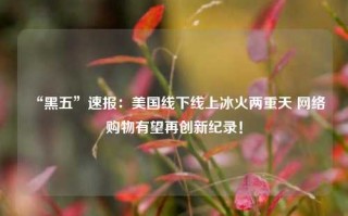 “黑五”速报：美国线下线上冰火两重天 网络购物有望再创新纪录！