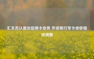 汇丰否认退出信用卡业务 外资银行发卡或收缩或调整