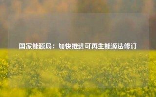 国家能源局：加快推进可再生能源法修订