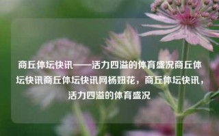 商丘体坛快讯——活力四溢的体育盛况商丘体坛快讯商丘体坛快讯网杨妞花，商丘体坛快讯，活力四溢的体育盛况，商丘体育盛事——活力四溢的体坛快讯