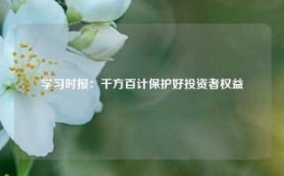 学习时报：千方百计保护好投资者权益