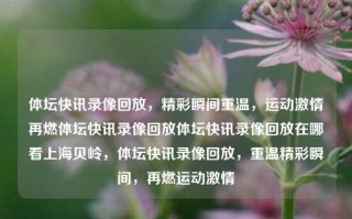 体坛快讯录像回放，精彩瞬间重温，运动激情再燃体坛快讯录像回放体坛快讯录像回放在哪看上海贝岭，体坛快讯录像回放，重温精彩瞬间，再燃运动激情，重温精彩瞬间，体坛快讯录像回放，再燃运动激情的必备体验