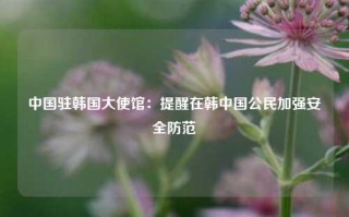 中国驻韩国大使馆：提醒在韩中国公民加强安全防范