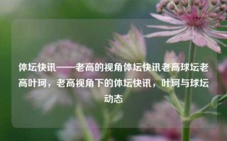 体坛快讯——老高的视角体坛快讯老高球坛老高叶珂，老高视角下的体坛快讯，叶珂与球坛动态，老高视角下的体坛快讯，叶珂与球坛动态概览