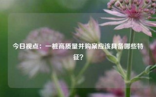 今日视点：一桩高质量并购案应该具备哪些特征？