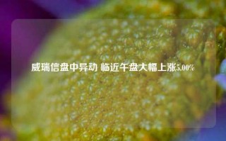 威瑞信盘中异动 临近午盘大幅上涨5.00%