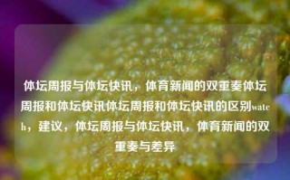 体坛周报与体坛快讯，体育新闻的双重奏体坛周报和体坛快讯体坛周报和体坛快讯的区别watch，建议，体坛周报与体坛快讯，体育新闻的双重奏与差异，体坛周报与体坛快讯，体育新闻的双重奏与差异解析