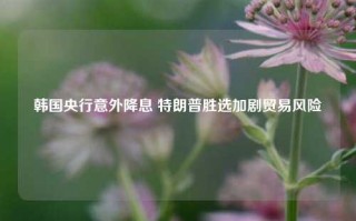 韩国央行意外降息 特朗普胜选加剧贸易风险