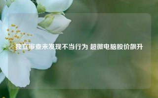 独立审查未发现不当行为 超微电脑股价飙升