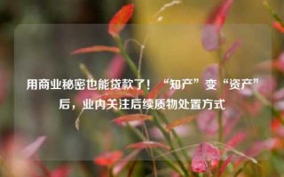 用商业秘密也能贷款了！“知产”变“资产”后，业内关注后续质物处置方式