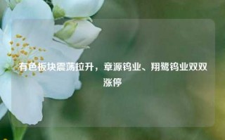 有色板块震荡拉升，章源钨业、翔鹭钨业双双涨停