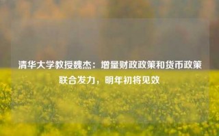 清华大学教授魏杰：增量财政政策和货币政策联合发力，明年初将见效