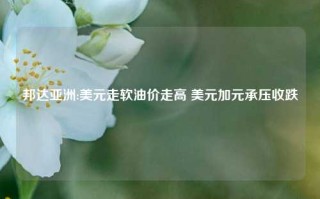 邦达亚洲:美元走软油价走高 美元加元承压收跌