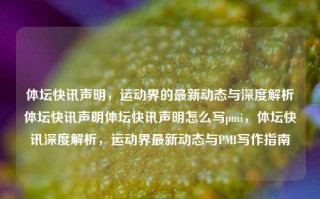 体坛快讯声明，运动界的最新动态与深度解析体坛快讯声明体坛快讯声明怎么写pmi，体坛快讯深度解析，运动界最新动态与PMI写作指南，体坛快讯深度解析，运动界最新动态与PMI写作指南