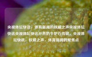 央视体坛快讯，体育新闻的权威之声央视体坛快讯央视体坛快讯孙燕奶牛炉石传说，央视体坛快讯，权威之声，体育新闻的聚焦点，央视体坛快讯，权威之声聚焦体育新闻的焦点