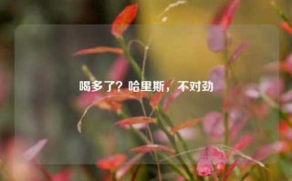 喝多了？哈里斯，不对劲