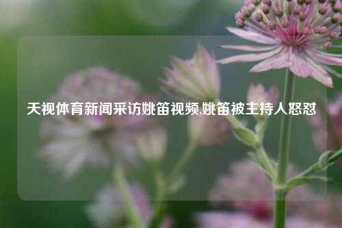 天视体育新闻采访姚笛视频,姚笛被主持人怒怼