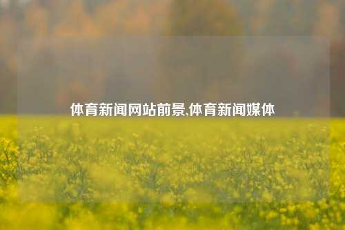 体育新闻网站前景,体育新闻媒体