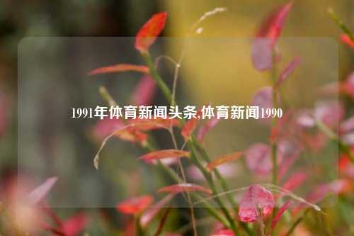 1991年体育新闻头条,体育新闻1990