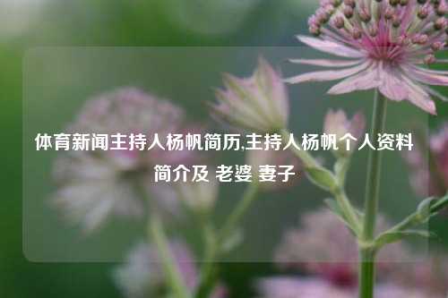 体育新闻主持人杨帆简历,主持人杨帆个人资料简介及 老婆 妻子