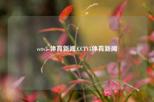 cctv5-体育新闻,CCTV5体育新闻