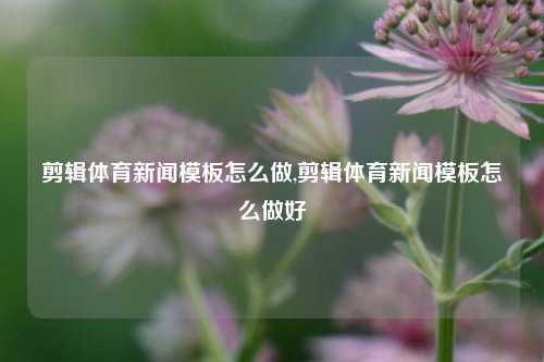 剪辑体育新闻模板怎么做,剪辑体育新闻模板怎么做好